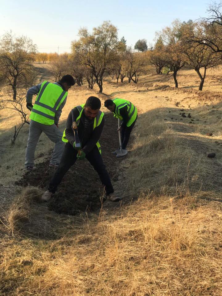 له‌ سلێمانی هه‌ڵمه‌تی خزمه‌تكردنی دارستانه‌كان ده‌ستی پێ كرد